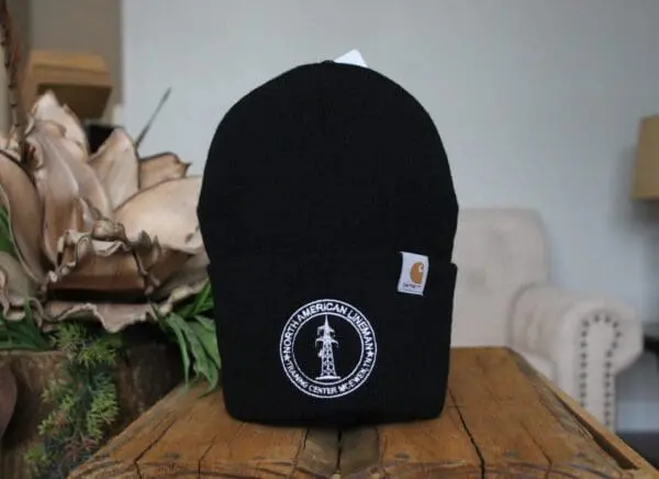Hat 10 Carhartt beanie black