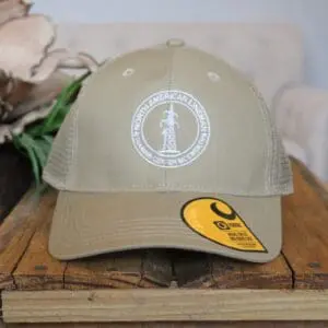 Hat 5 carhartt khaki