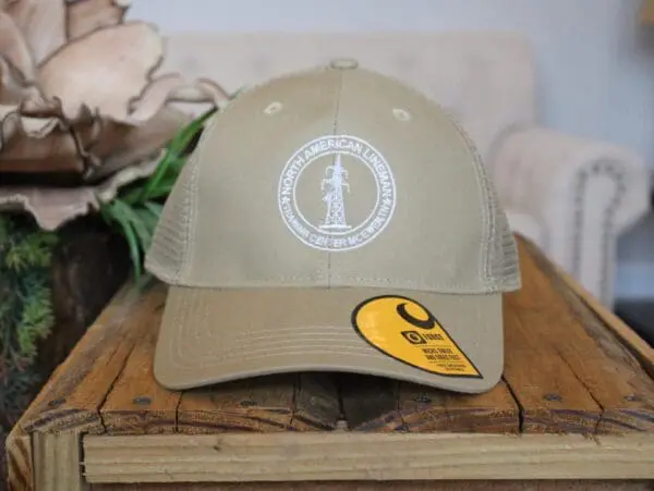 Hat 5 carhartt khaki