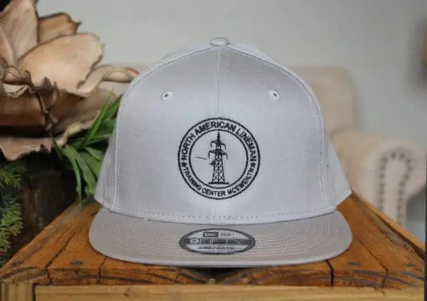 Hat 6 flat bill grey