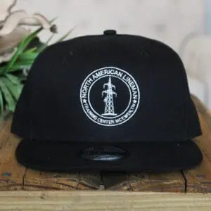 Hat 1 flat bill black